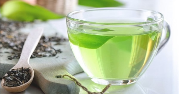 Yeşil Çay – Green Tea Extract