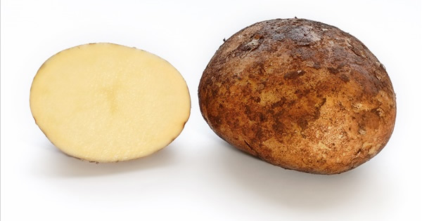 Patates (solanum tuberosum)